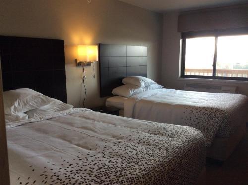 Scenic Shore Inn - photo 21