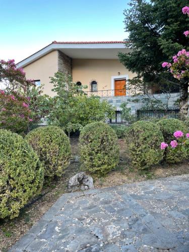 Levidi Horizon — Levidion