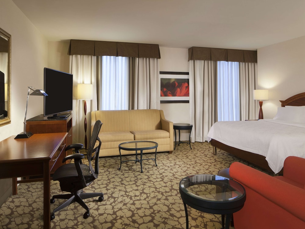 Hilton Garden Inn Virginia Beach Town Center - photo 9