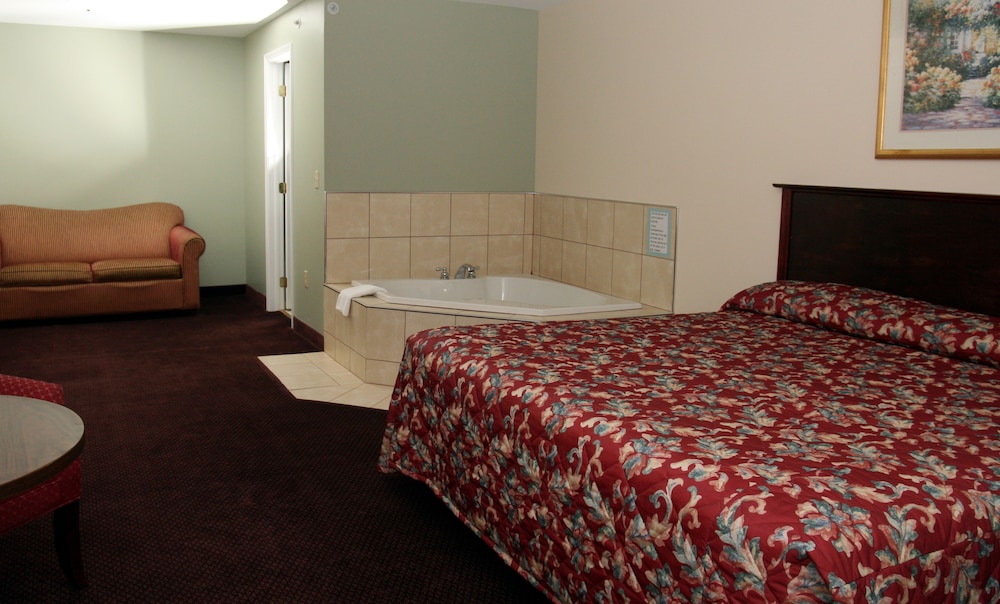 Studio Motel - photo 20