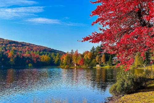 Serenity by the lake — Eden — photo 5