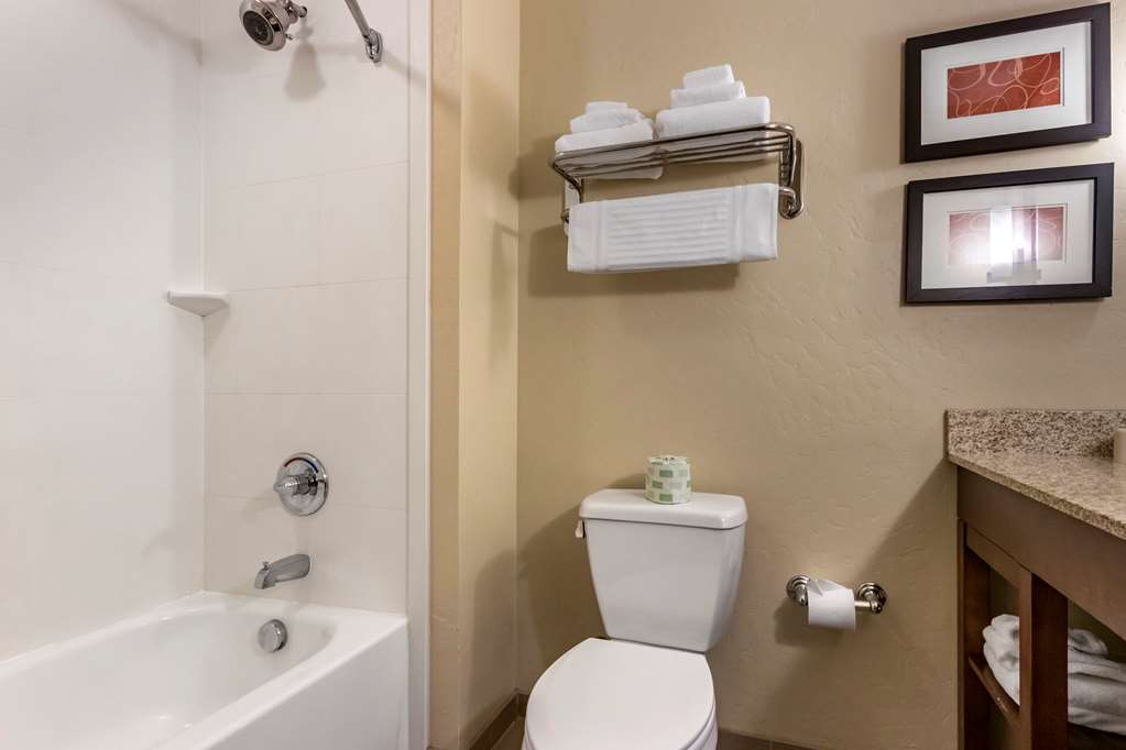 Comfort Suites Airport University - photo 18