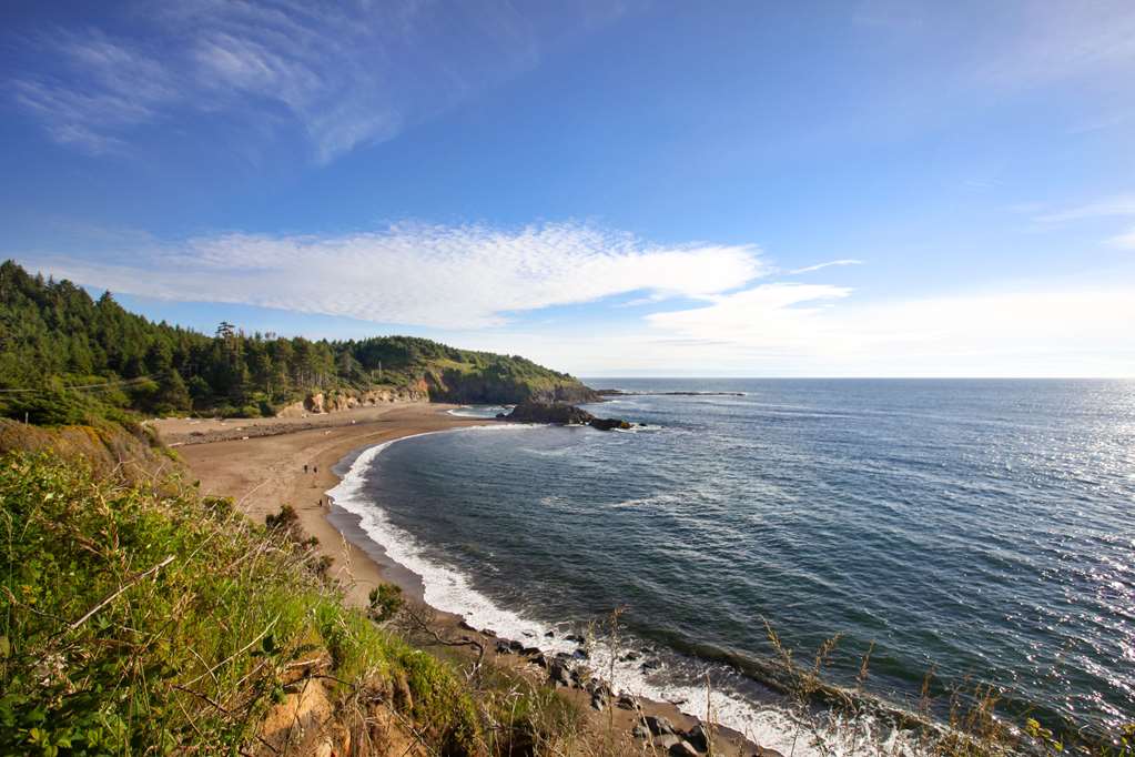 Clarion Inn Surfrider Resort - photo 6