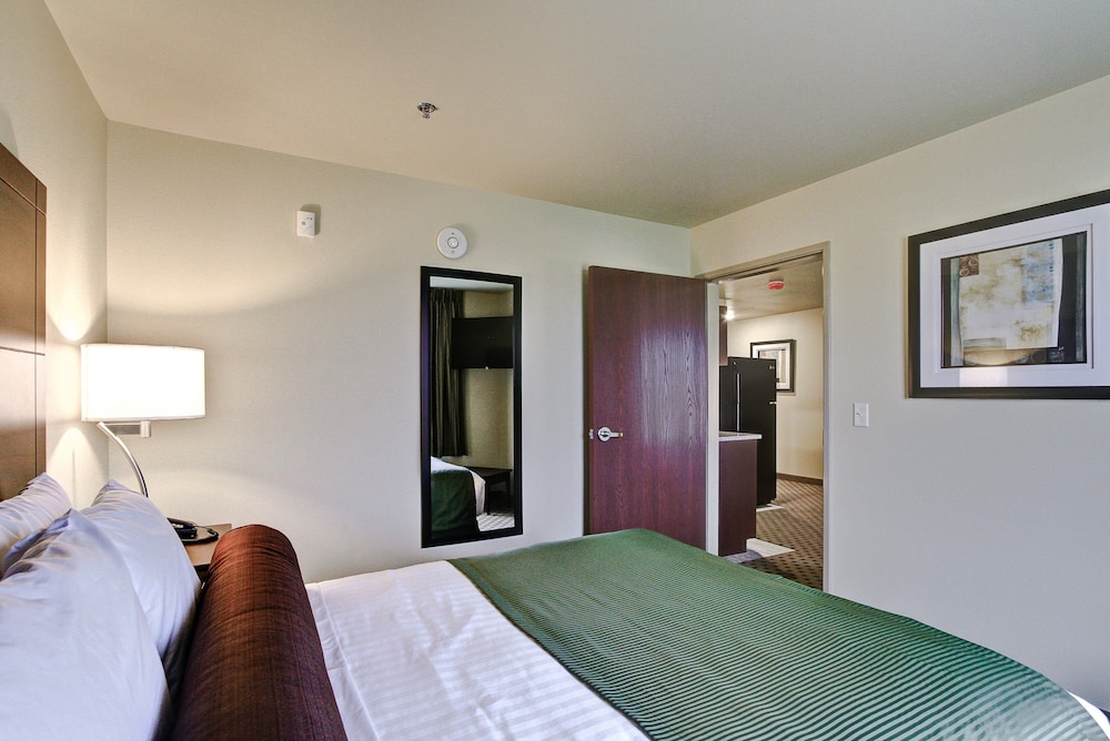 Cobblestone Hotel & Suites Pulaski Green Bay - photo 24