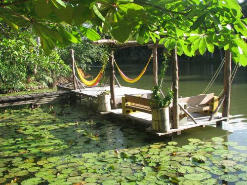 El Hotelito Perdido — Livingston — photo 3