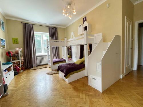 Spacious apartment in city center