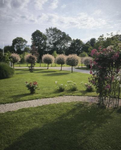 Apartma in wellness Čista fantazija — 4-Star Luxury Hotel in Velika Polana, Slovenia