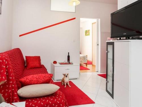 Apartments Pojko Standard One Bedroom Apartment with Terrace Red