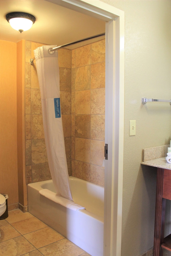 Hampton Inn & Suites Thibodaux - photo 32