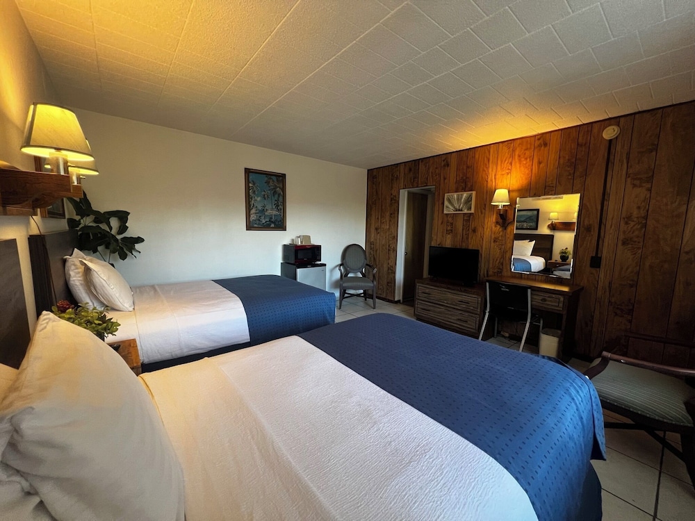 Nocturne Motel - photo 5