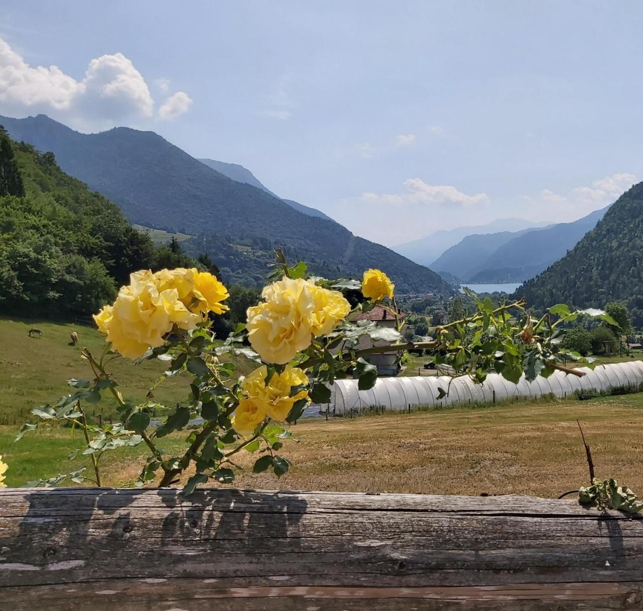 Agritur la Dasa — hotel in Pieve Di Ledro