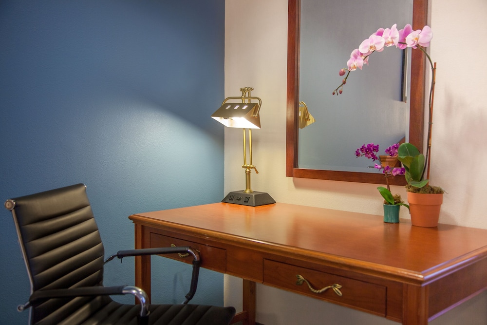 Federal City Inn and Suites - photo 13