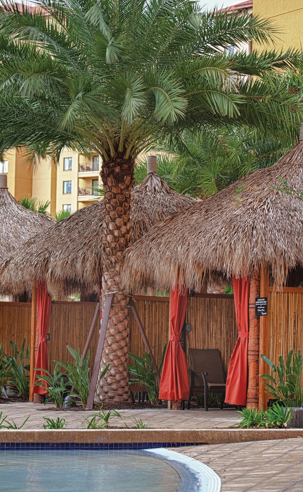Club Wyndham Bonnet Creek - photo 70