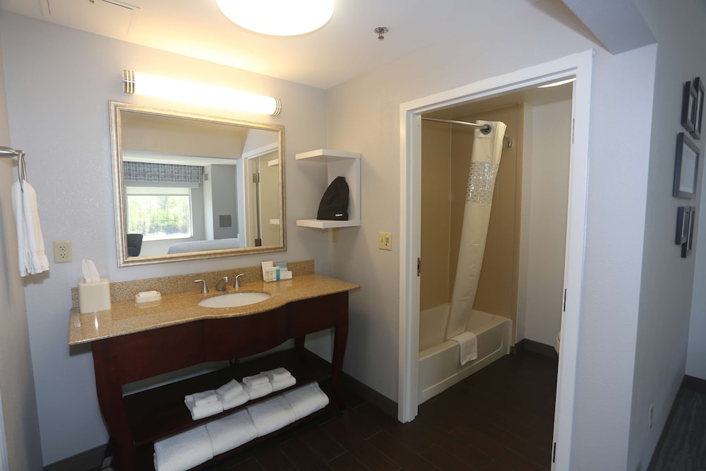 Hampton Inn Owego - photo 20