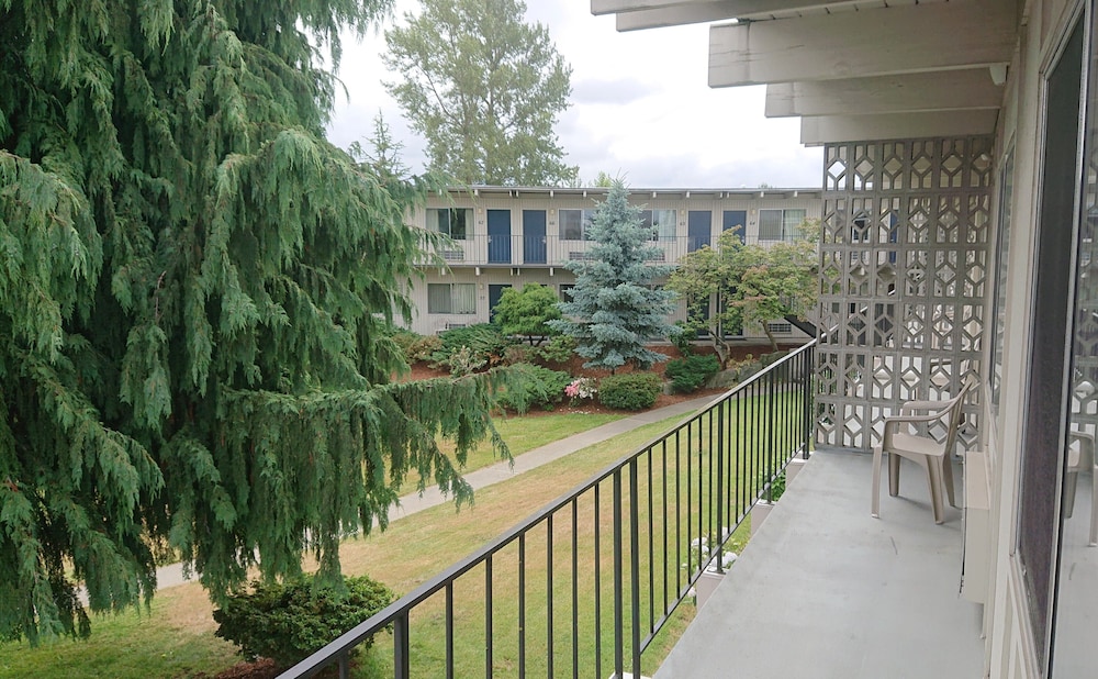 Cocusa Motel - photo 77