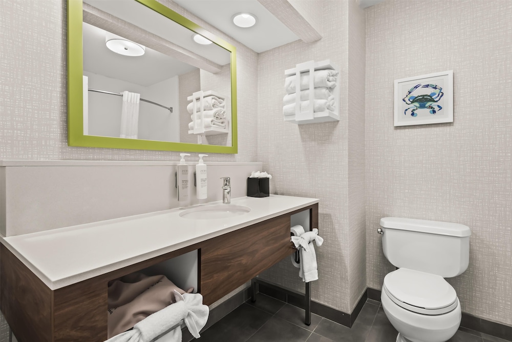 Hampton Inn Elkton - photo 21