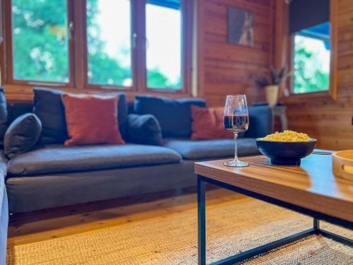 Sky Lodge Great Ayton spacious dog friendly lodge with hot tub and on site bistro