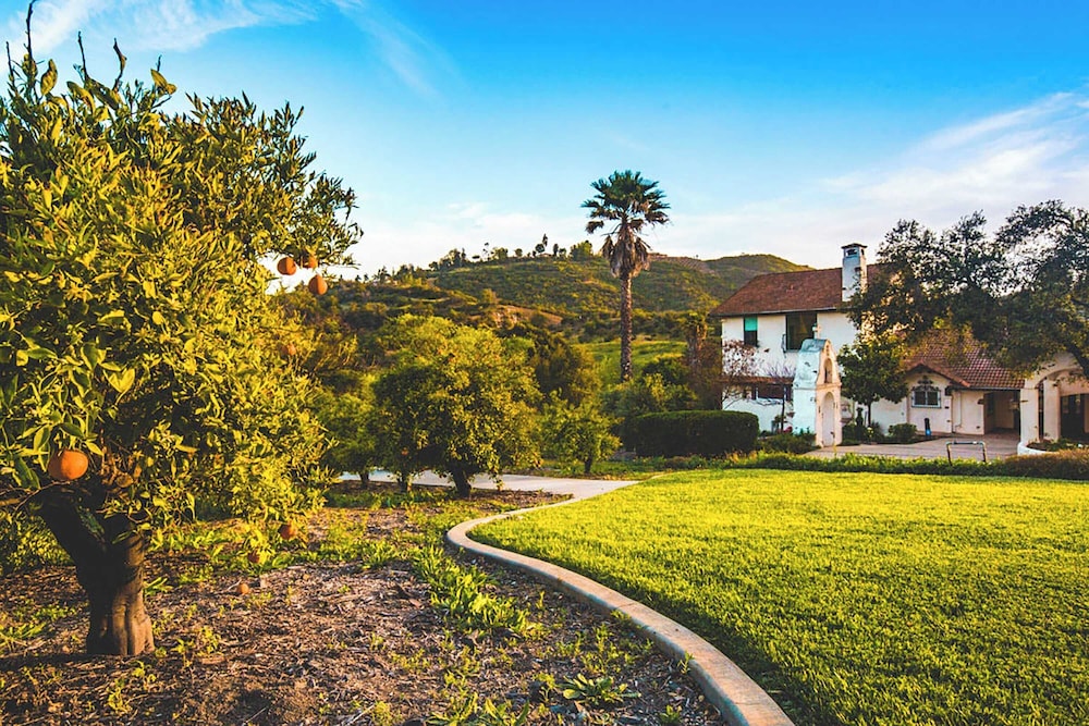5 Acre Estate w Lake Pool & Hot Tub De Luz by Avantstay - photo 7