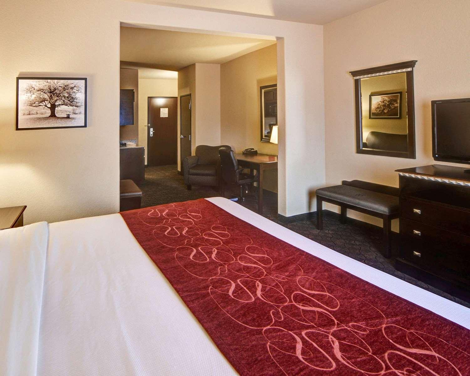 Comfort Suites Arlington - photo 17