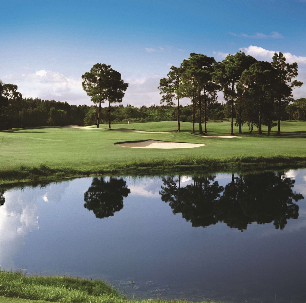 Hilton Palm Beach PBI - photo 92