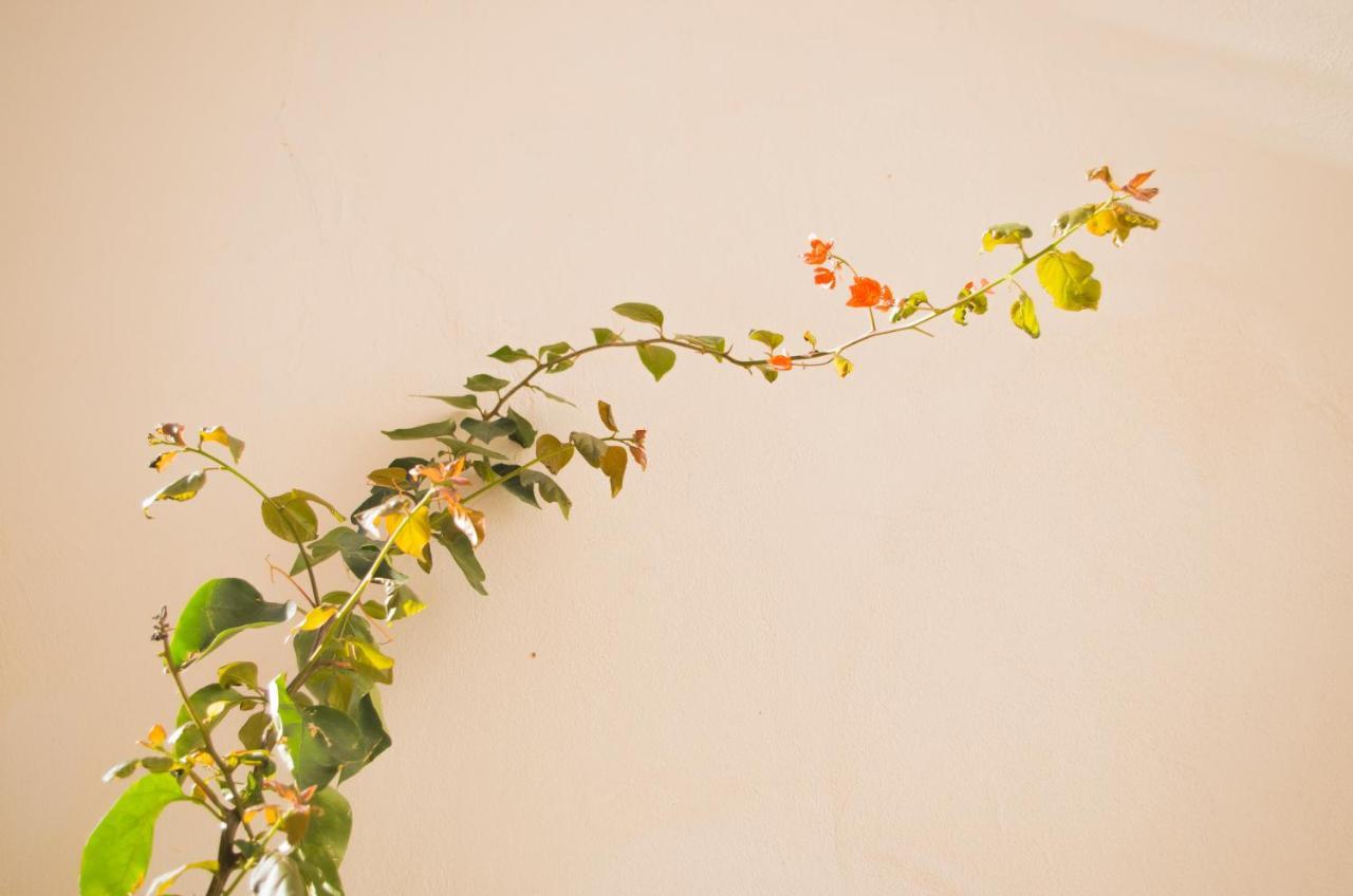 Chibedda Dimora Cesca in Castellammare Del Golfo, Italy