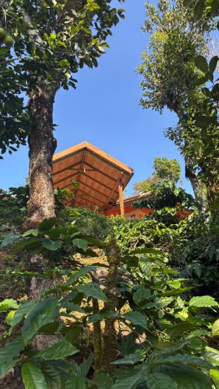 Coorg hill view stay in Suntikoppa, India