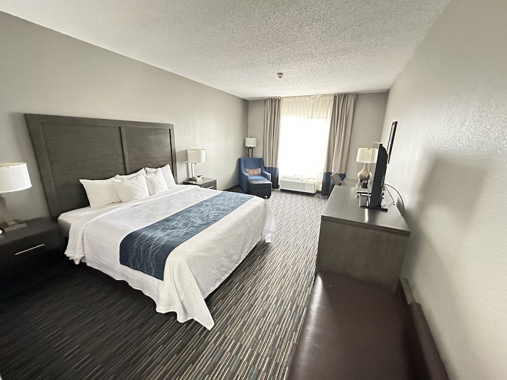 Garner Hotel Oklahoma City Quail Springs by IHG - photo 14