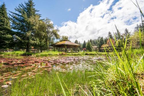 Redwood Meadows RV Resort and Cabins - photo 20