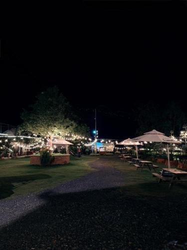 Sa Đéc Glamping — Unknown City — photo 3