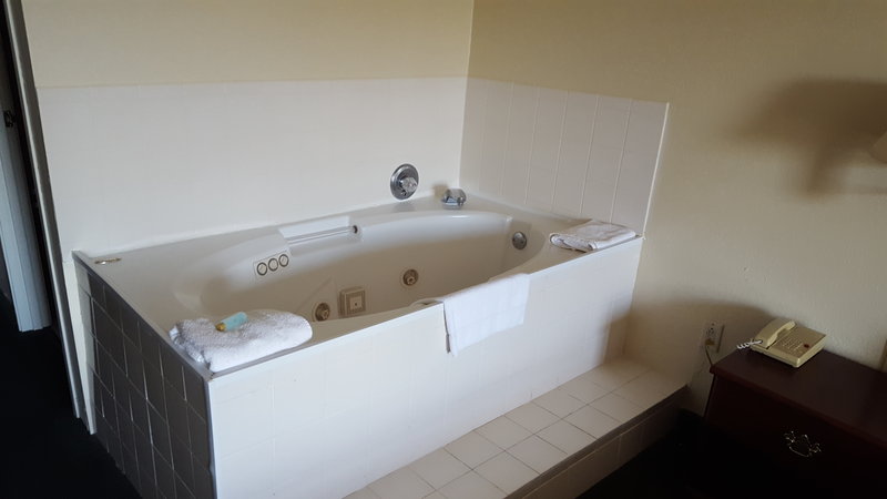 Arlington Inn And Suites - photo 3