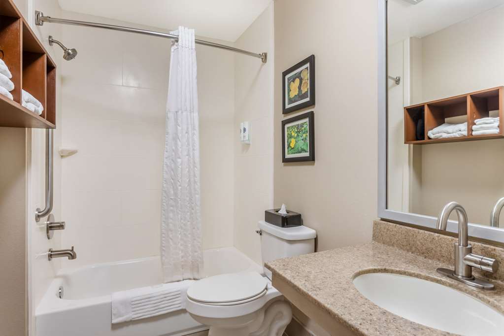 Comfort Inn & Suites Conway - photo 11