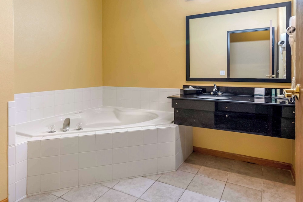 Quality Inn & Suites Lenexa Kansas City - photo 13