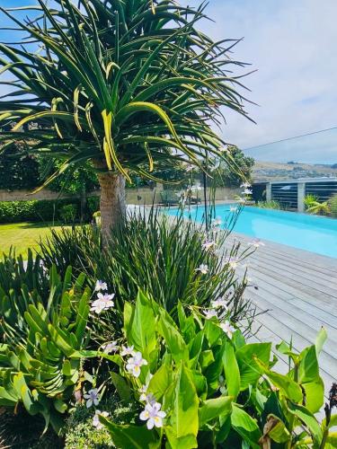 Luxury 2 Bdrm Ground Level Apt with Private Pool located on Scarborough Hill Sumner Christchurch — 4-Star Luxury Hotel in Christchurch, New Zealand