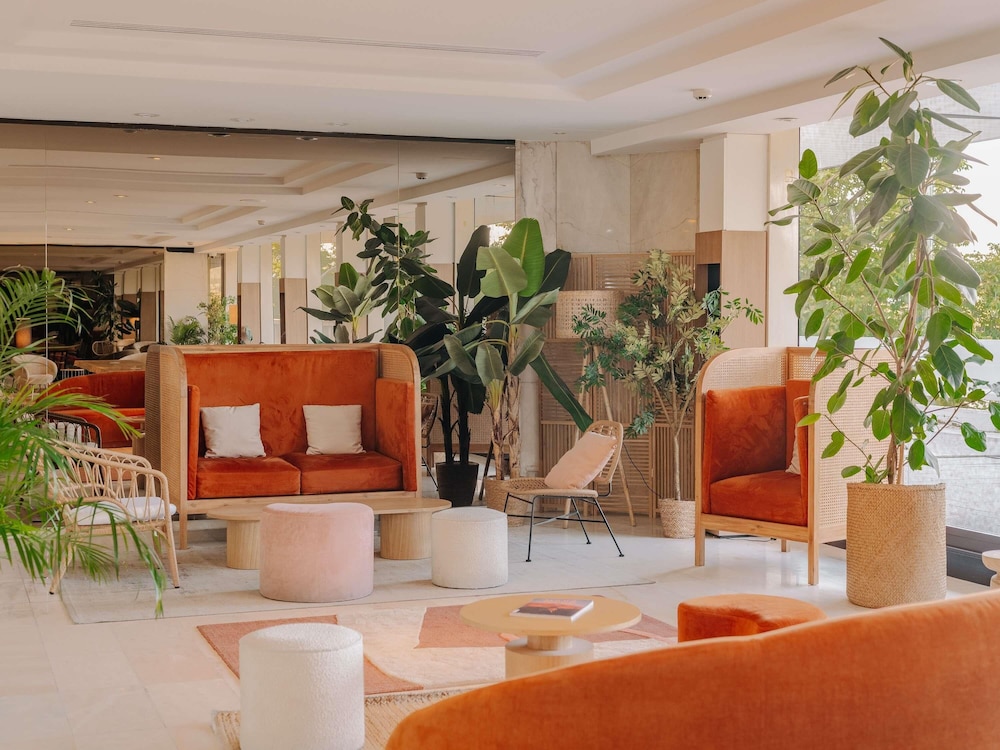 מראה חיצוני