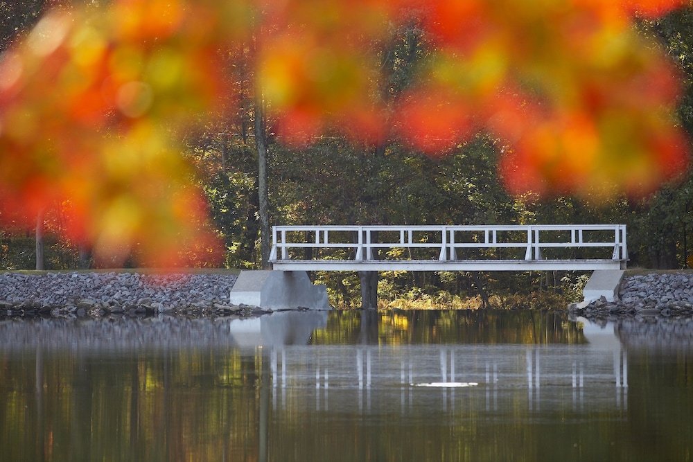 Mountain Springs Lake Resort - photo 350