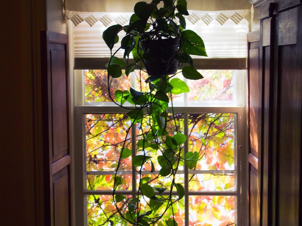 The Stagecoach Inn Bed & Breakfast and Five20 Social Stop - photo 12