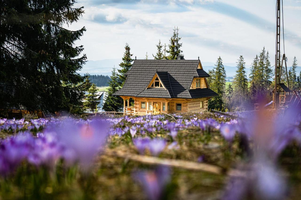 Obrochtowa Chata - last minute hotel in Koscielisko