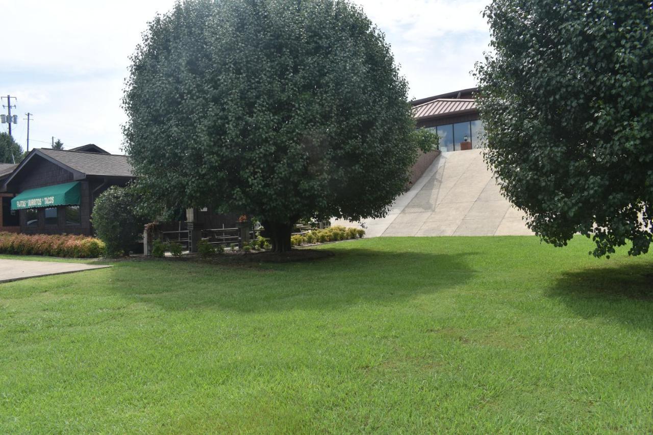 Gadsden Inn & Suites - photo 13