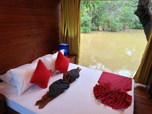 Harmony by the lake - last minute hotel in Dambulla