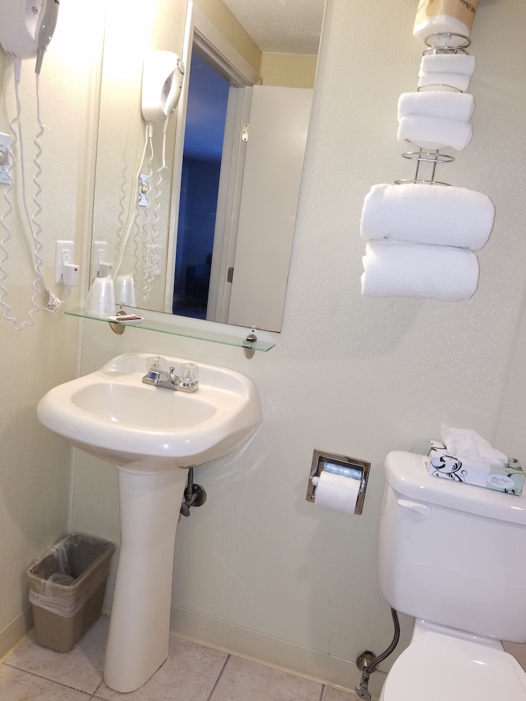 Hampton Village Inn - photo 29