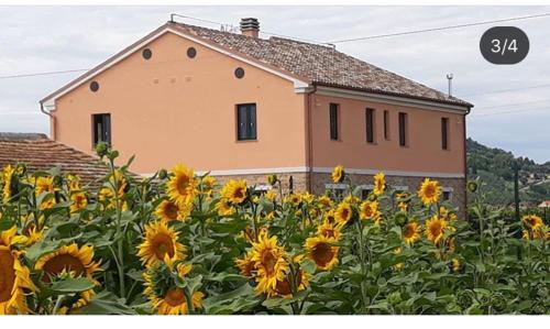 La Dolce Vita — hotel in Porto Recanati