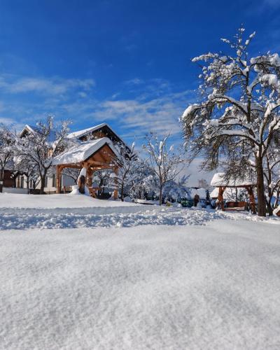 Cabana Maramures Landscape in Moisei, Romania