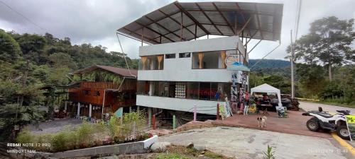 Mindoxtrem Birds in Unknown City, Ecuador