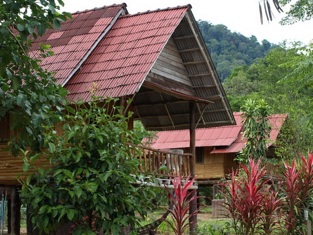 Khaosok Palmview — Phanom — photo 2