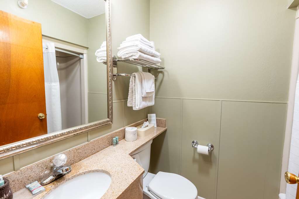 Best Western White House Inn - photo 102