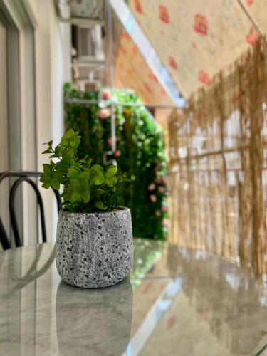 Yiayias home Retro tranquility near Syntagma — 4-Star Luxury Hotel in Athens, Greece