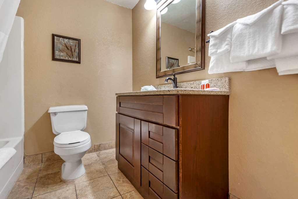 Econo Lodge Black Hills - photo 6