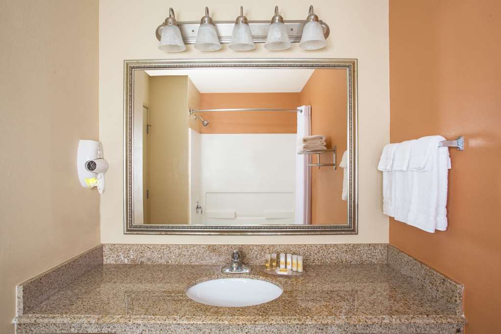 Days Inn & Suites by Wyndham Thibodaux - photo 12