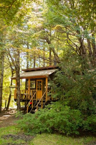 Pucón Volcano Forest SPA — Pucon — photo 4
