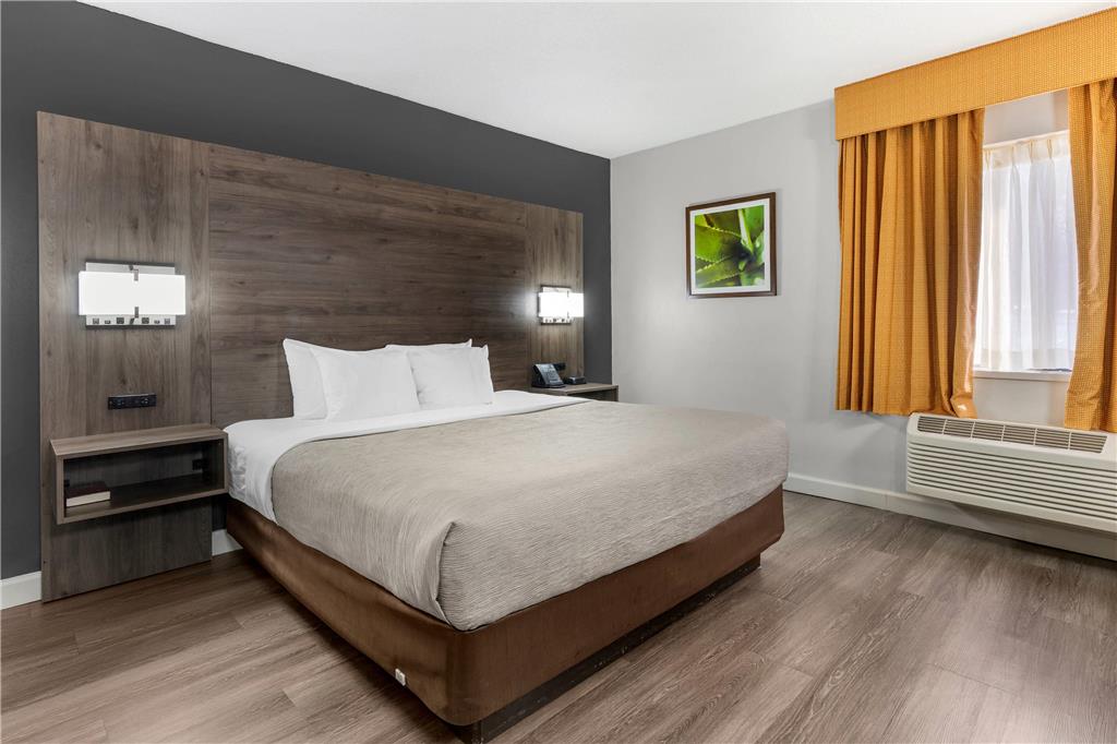 Quality Inn & Suites Raleigh Durham Airport - photo 22